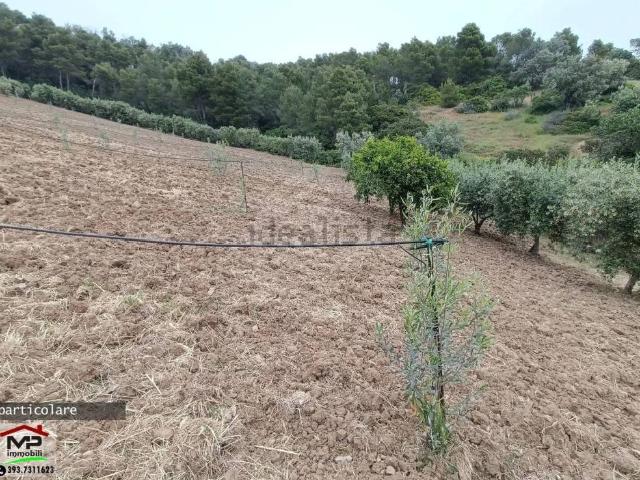 Terreno in vendita a Calabria, Cosenza