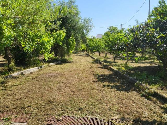 Terreno in vendita a Cercola, Campania