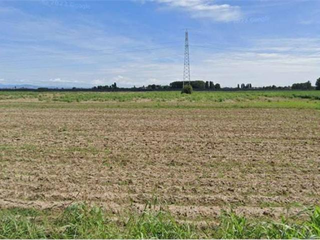 Terreno in vendita a Cerea, Veneto