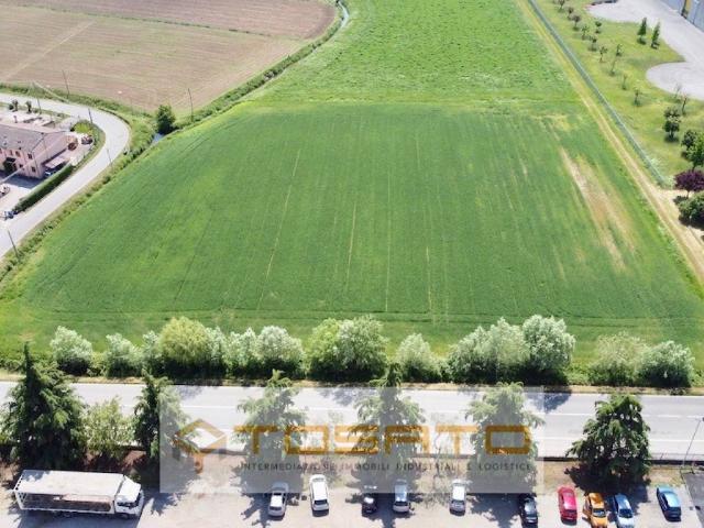 Terreno in vendita a Cerea, Veneto