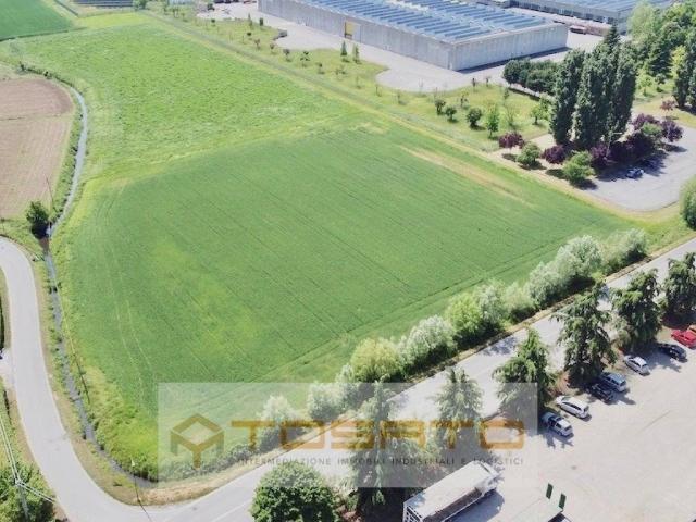 Terreno in vendita a Cerea, Veneto