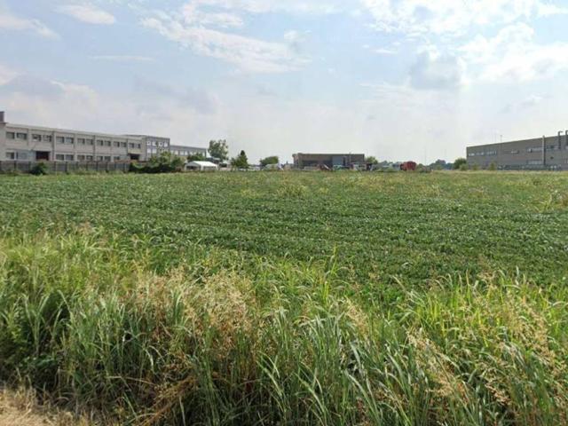 Terreno in vendita a Cerea, Veneto