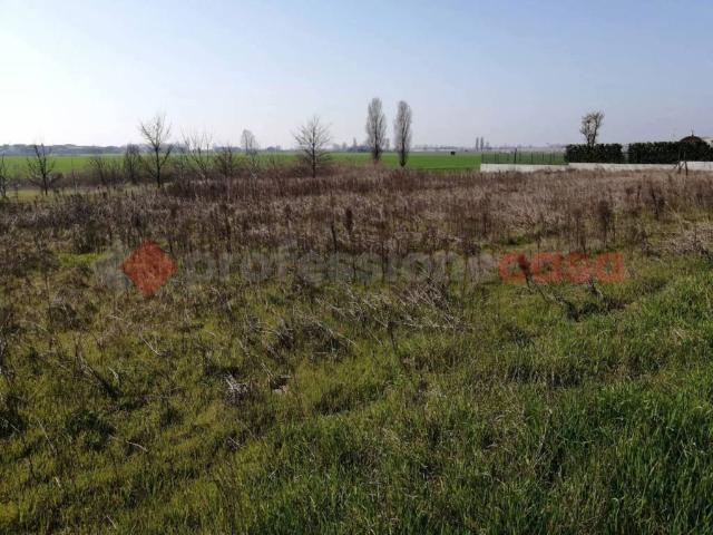 Terreno in vendita a Cerea, Veneto