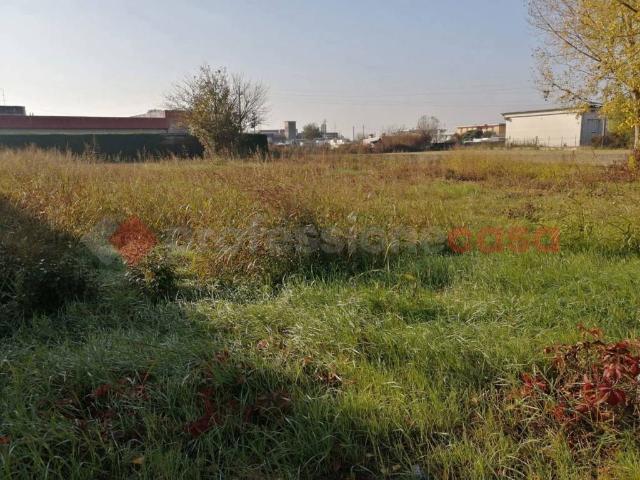 Terreno in vendita a Cerea, Veneto