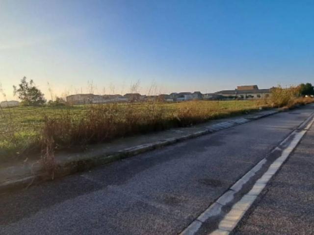 Terreno in vendita a Cerea, Veneto