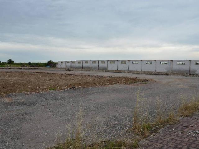 Terreno in vendita a Cerea, Veneto