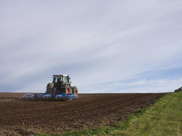 Terreno in vendita a Ceregnano, Veneto