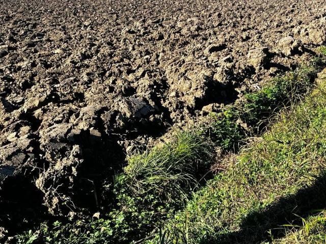 Terreno in vendita a Ceresara, Lombardia