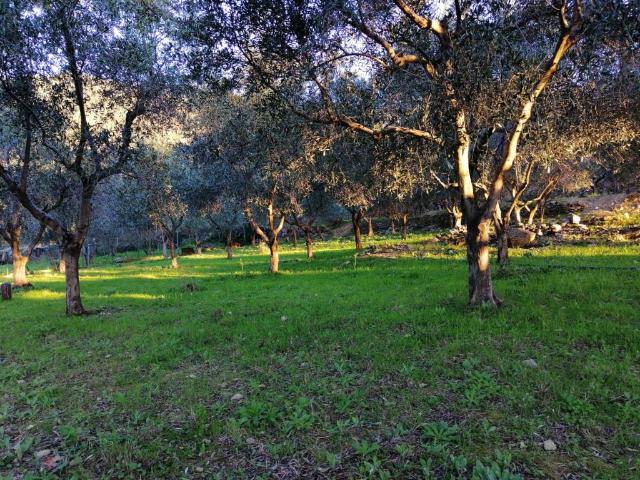 Terreno in vendita a Albenga, Liguria