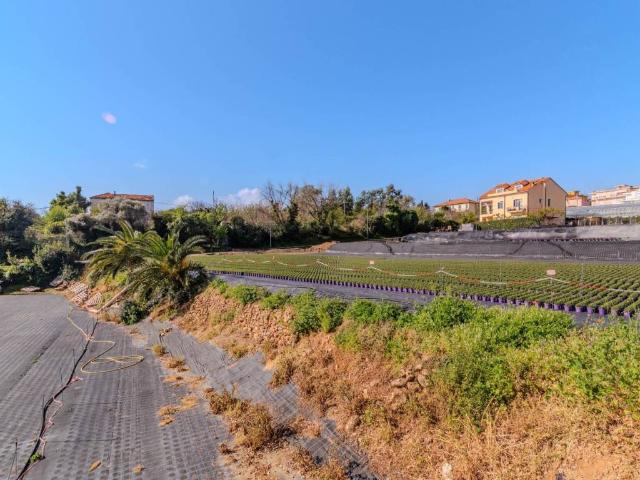 Terreno in vendita a Ceriale, Liguria