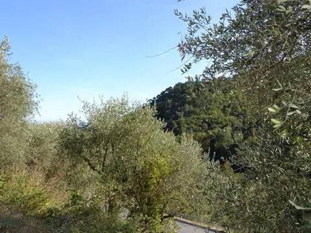 Terreno in vendita a Baiardo, Liguria