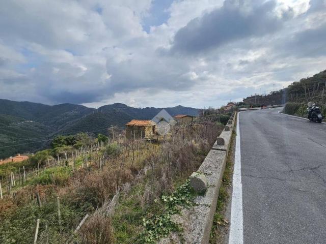 Terreno in vendita a Baiardo, Liguria