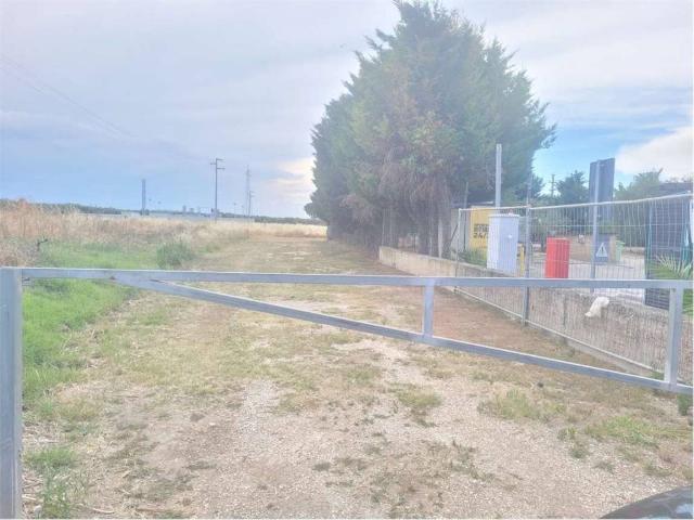 Terreno in vendita a Puglia, Foggia