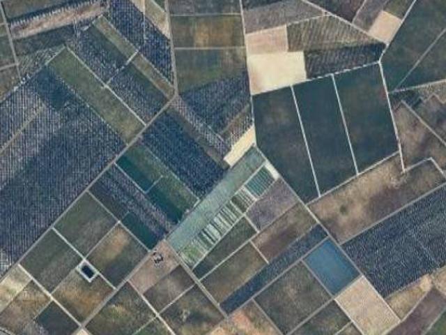 Terreno in vendita a Puglia, Foggia