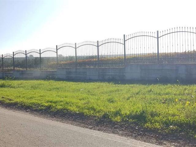 Terreno in vendita a Puglia, Foggia