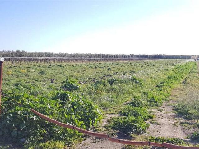 Terreno in vendita a Puglia, Foggia