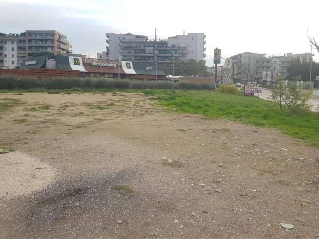 Terreno in vendita a Puglia, Foggia