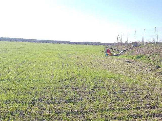 Terreno in vendita a Puglia, Foggia