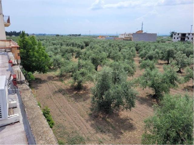 Terreno in vendita a Puglia, Foggia