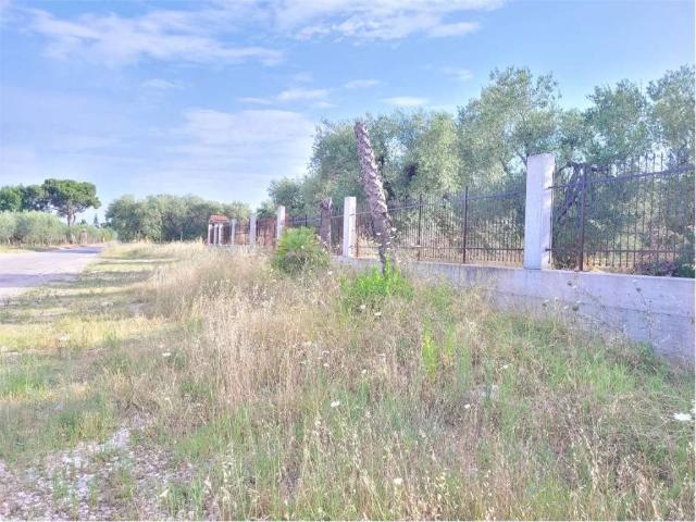 Terreno in vendita a Puglia, Foggia