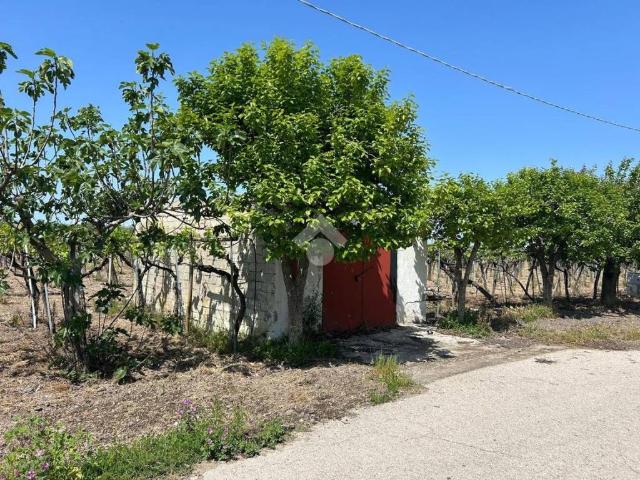 Terreno in vendita a Puglia, Foggia