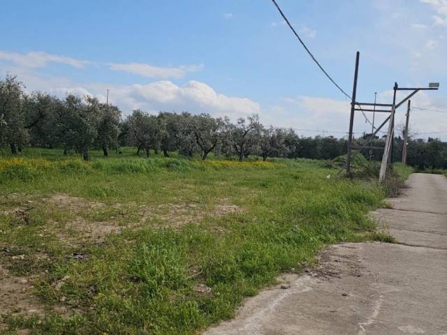 Terreno in vendita a Puglia, Foggia