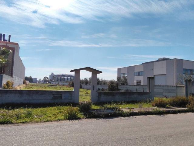 Terreno in vendita a Puglia, Foggia