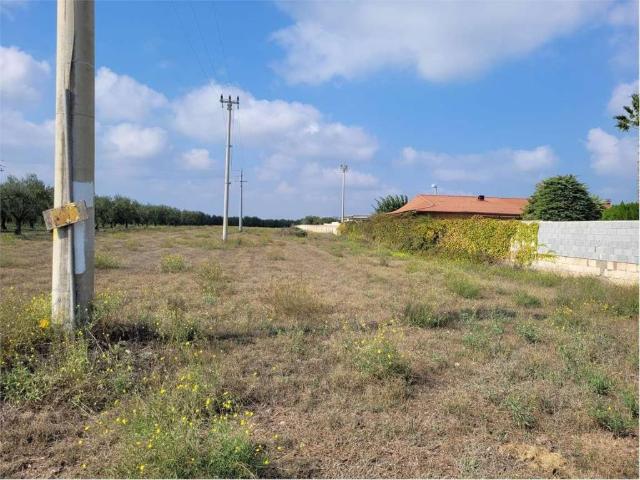 Terreno in vendita a Puglia, Foggia