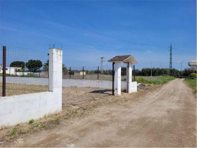 Terreno in vendita a Puglia, Foggia