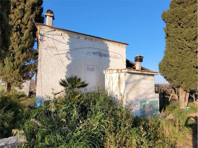 Terreno in vendita a Puglia, Foggia