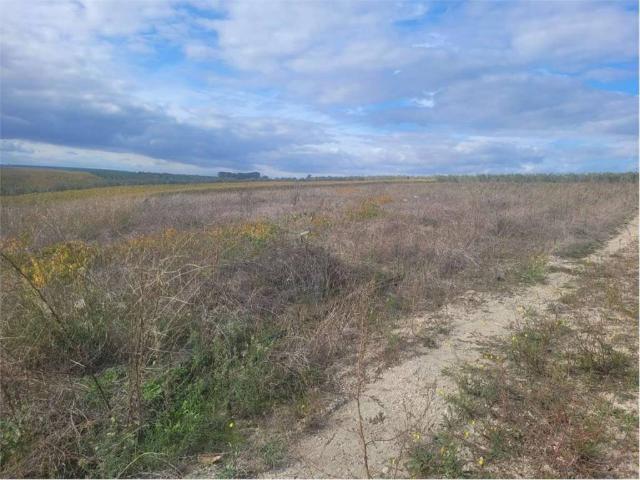 Terreno in vendita a Puglia, Foggia
