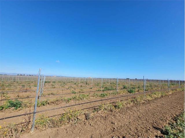 Terreno in vendita a Puglia, Foggia