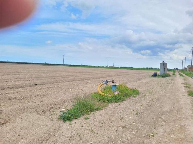 Terreno in vendita a Puglia, Foggia