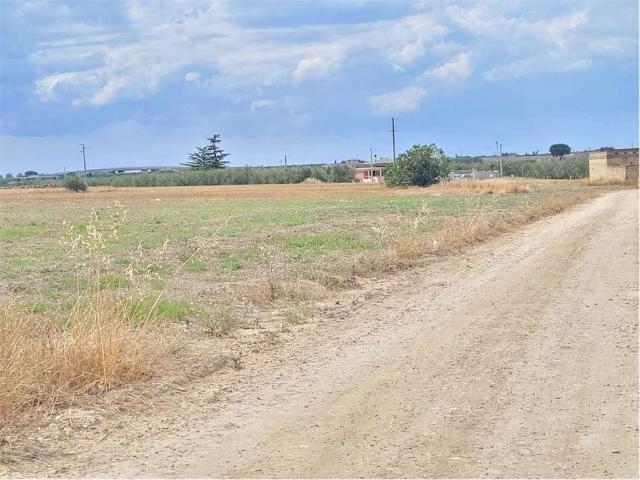 Terreno in vendita a Puglia, Foggia