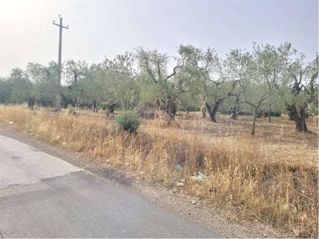 Terreno in vendita a Puglia, Foggia