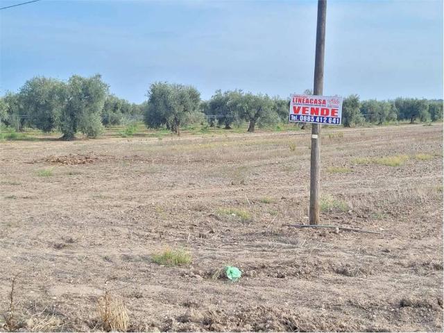 Terreno in vendita a Puglia, Foggia