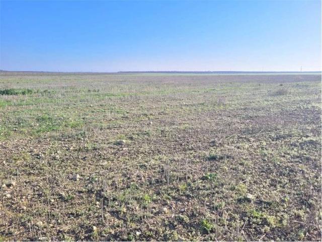 Terreno in vendita a Puglia, Foggia