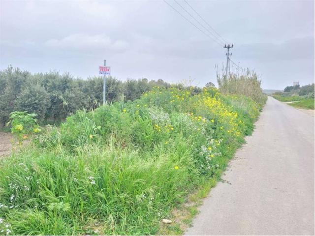 Terreno in vendita a Puglia, Foggia