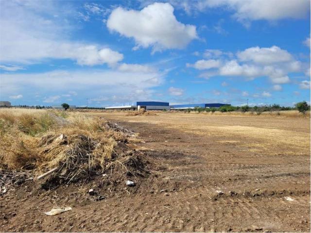 Terreno in vendita a Puglia, Foggia
