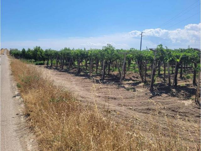Terreno in vendita a Puglia, Foggia