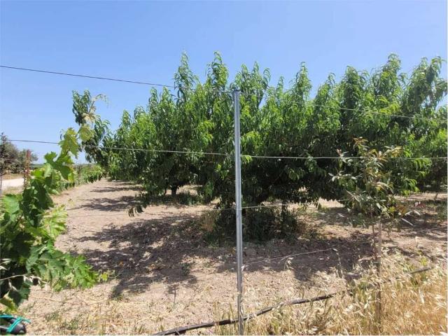 Terreno in vendita a Puglia, Foggia