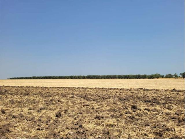 Terreno in vendita a Puglia, Foggia