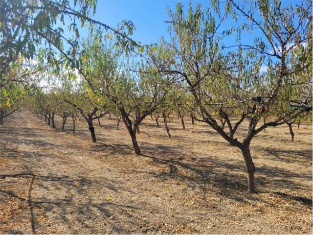 Terreno in vendita a Puglia, Foggia