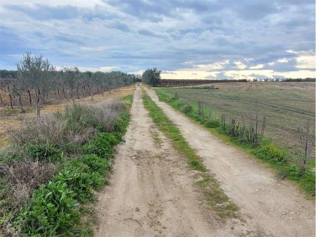 Terreno in vendita a Puglia, Foggia