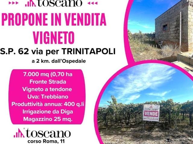 Terreno in vendita a Puglia, Foggia