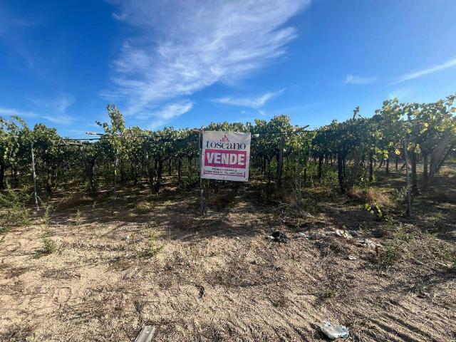 Terreno in vendita a Puglia, Foggia