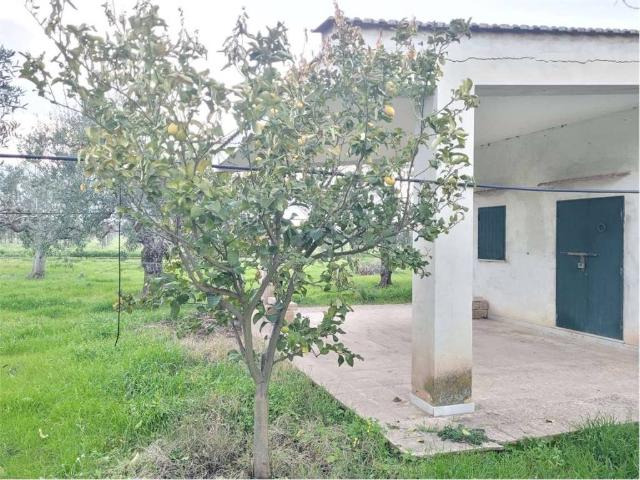 Terreno in vendita a Puglia, Foggia