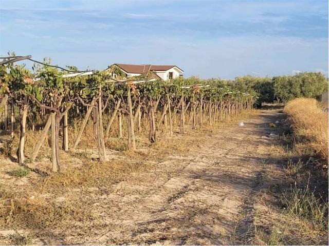 Terreno in vendita a Puglia, Foggia