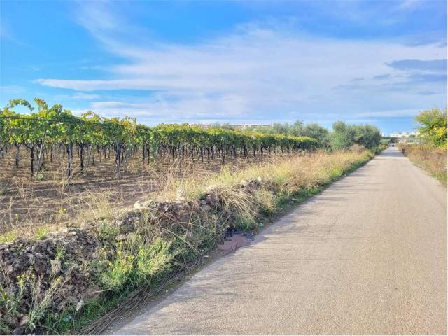 Terreno in vendita a Puglia, Foggia