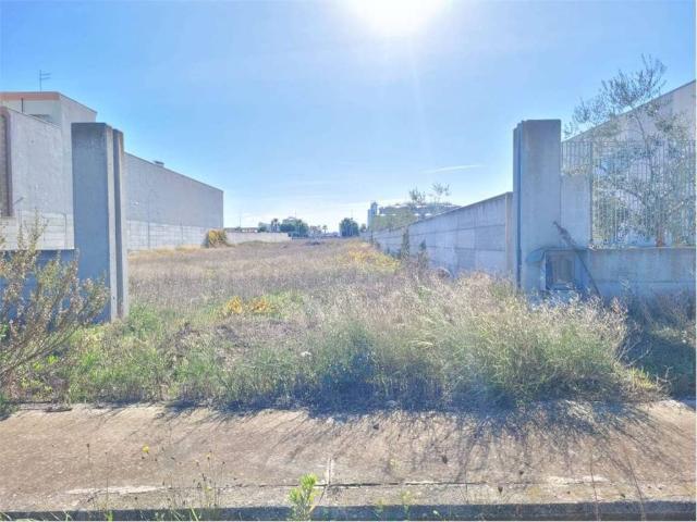 Terreno in vendita a Puglia, Foggia